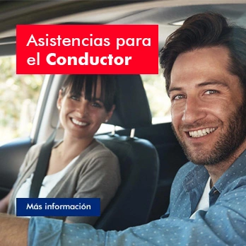 Asistencia al conductor